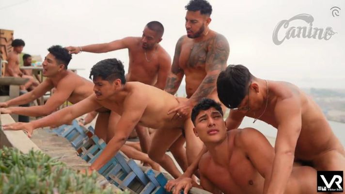 RFC channels – 12 Caninos Pool Party