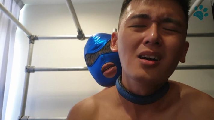 【willy】主人要求賤狗的臉必須露出來... 
聽話的狗狗有獎賞嗎 露臉 全見 全賤