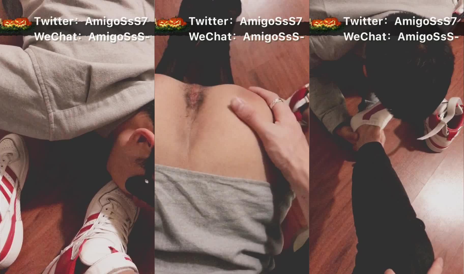 【Amigo】6-Ьdog